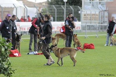 Remise des Prix 191.JPG - CHIENPLUS.COM